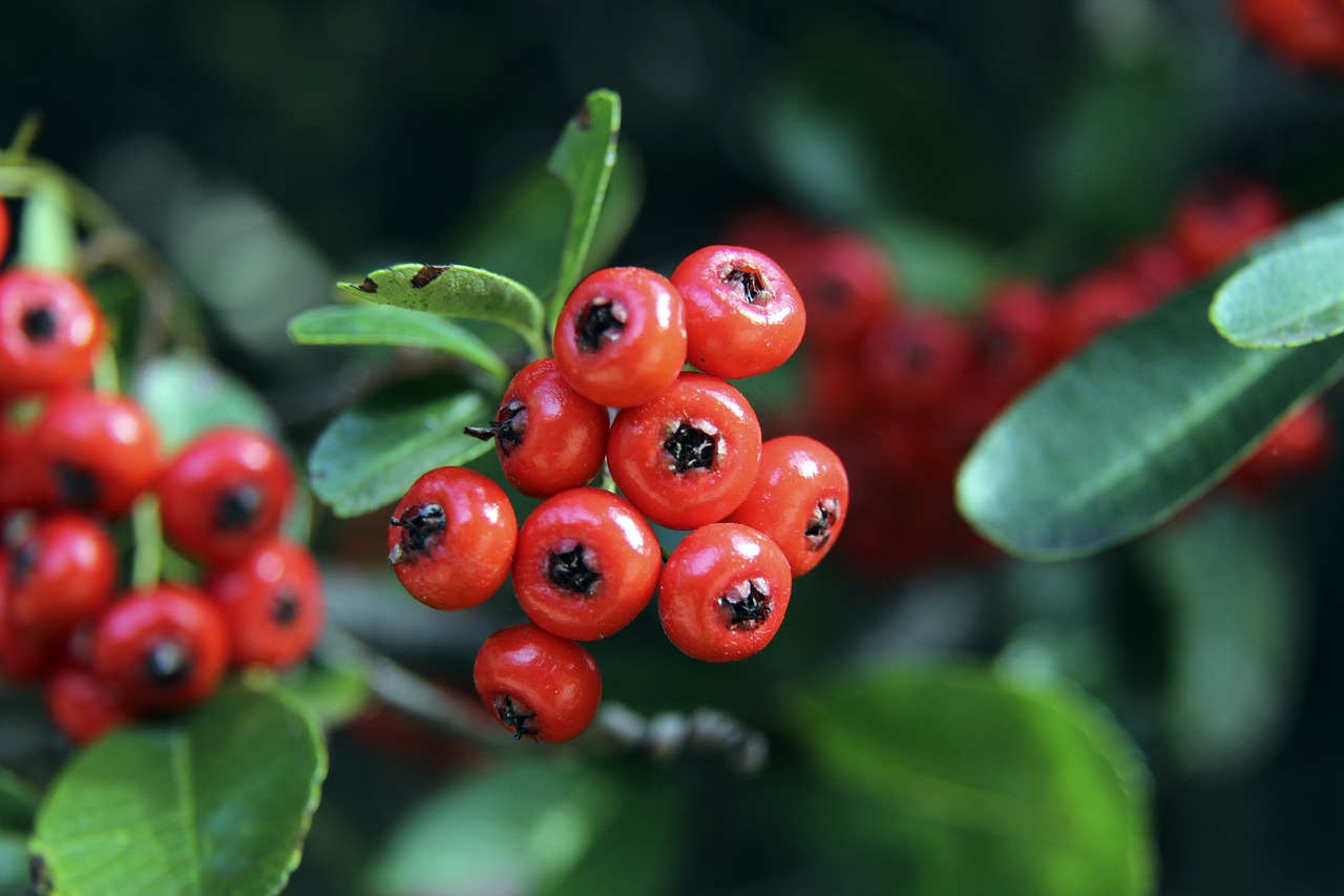 曼城瓜帅巧妙调整击败利物浦