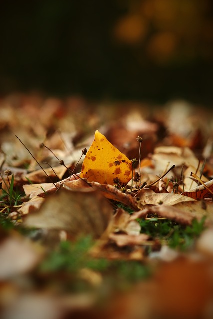 门正是采用 门正是采用