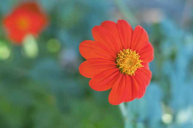 现可以说是 现可以说是