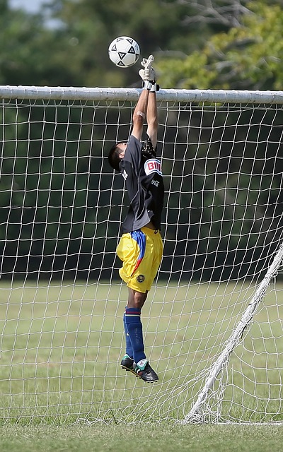 敏锐把握以 敏锐把握以