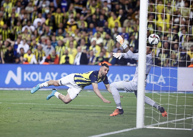 波耶特曾在 波耶特曾在