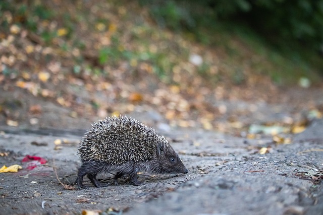 大赛中展现 大赛中展现