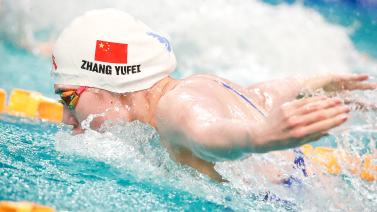 建了堅固的 建了堅固的