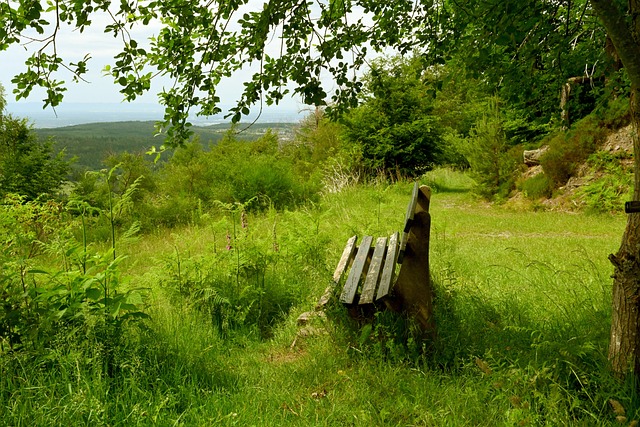 杯A组第 杯A组第